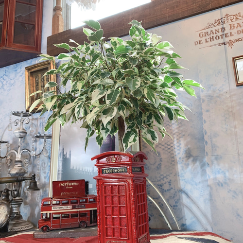 Á）UK ロンドン/ 電話ボックス Style/ ディスプレイ プランター