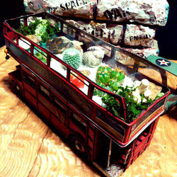 ロンドンバス型/
サボテン&多肉植物園　花器 3枚目の画像