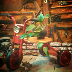 籐 ラタン ヴィンテージ 三輪車 花台 スウェーデン 籐 ラタン ヴィンテージ 三輪車 花台 スウェーデン