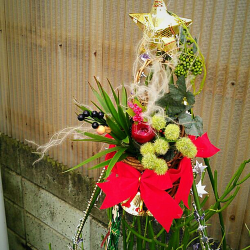 ぶきうき 様 (購入済み) ミルクブッシュ/ クリスマスツリー確認用 