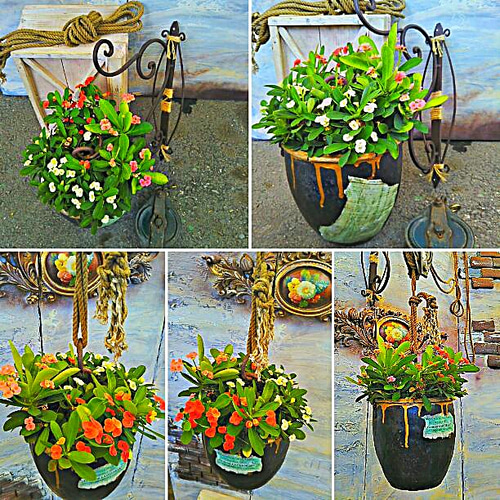アンティークブロカント アイアン ハンギングプラント