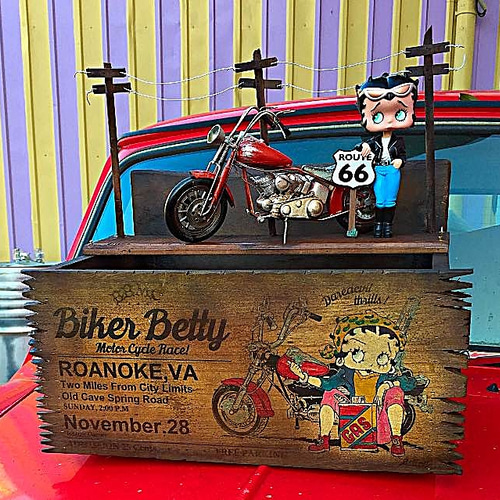 アメリカン/ ディスプレイプランター/ バイカーベティー