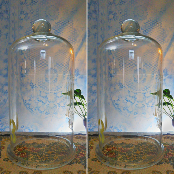 フレンチ アンティーク/
グラス ドーム（気泡入り）
#店舗什器
#テラリウム
#インダストリアル
#glass 4枚目の画像