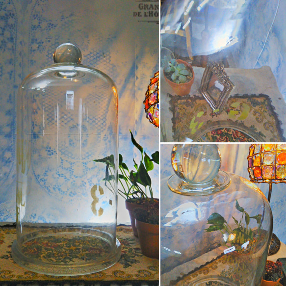 フレンチ アンティーク/
グラス ドーム（気泡入り）
#店舗什器
#テラリウム
#インダストリアル
#glass 8枚目の画像