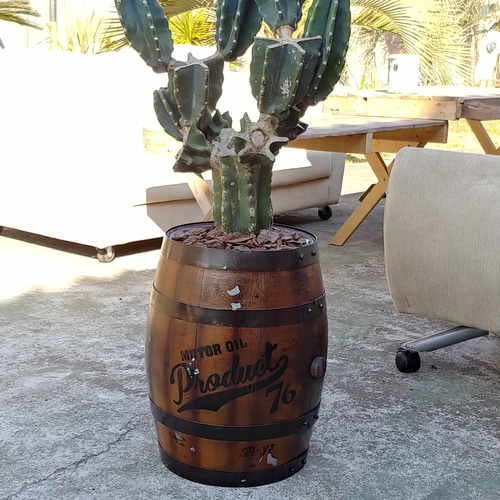 アメリカン ヴィンテージStyle/ （特大株①） 切込仕立て柱