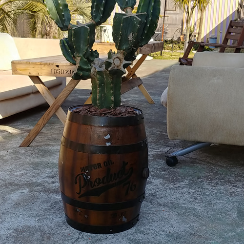 アメリカン ヴィンテージStyle/ （特大株①） 切込仕立て柱