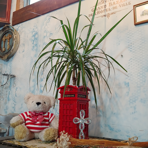 壁掛け プランター アンティーク 多肉植物 シャビー アイアン 2個 什器