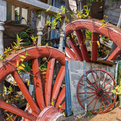 Antique商材/ シャビー ブロカント マテリアル/ ガーデンオーナメント（直径 1m馬車の車輪①） （大八車 鉄輪 1枚目の画像