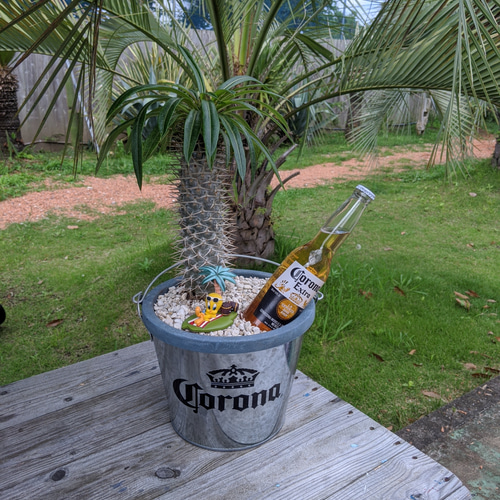 ✢fome九十九里浜✢ Corona Extra （コロナビール） 南国 ディスプレイ