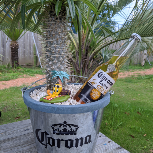 CORONAビール　タンク型　ディスプレイ 0c32add7ebae7db160c41311a81a2b