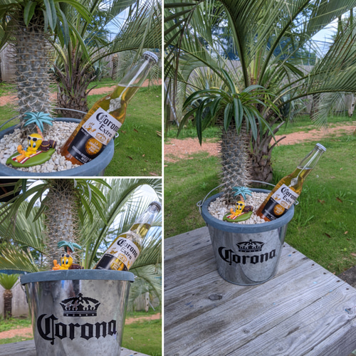 ✢fome九十九里浜✢ Corona Extra （コロナビール） 南国 ディスプレイ
