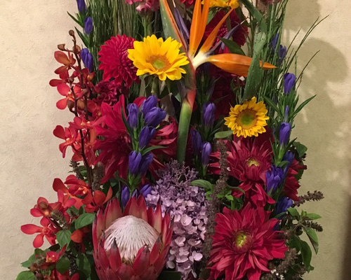 1_1998673865f9b742cacf48121534