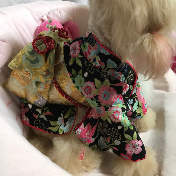 本格仕立て着物 犬服オーダー 2枚目の画像