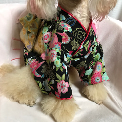 本格仕立て着物 犬服オーダー 4枚目の画像