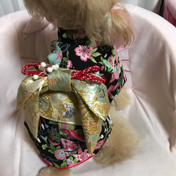 本格仕立て着物 犬服オーダー 5枚目の画像