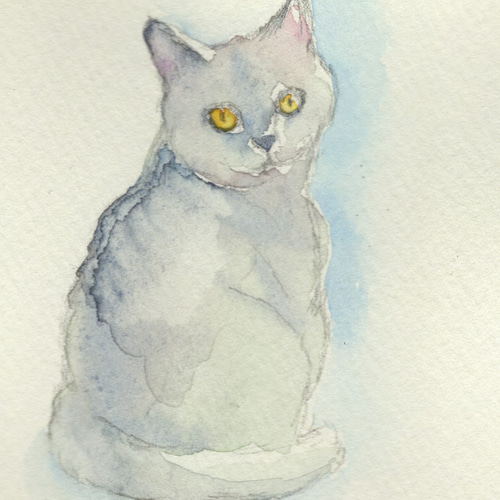 ポストカードサイズ 水彩+色鉛筆画犬、猫イラスト5枚セット 900