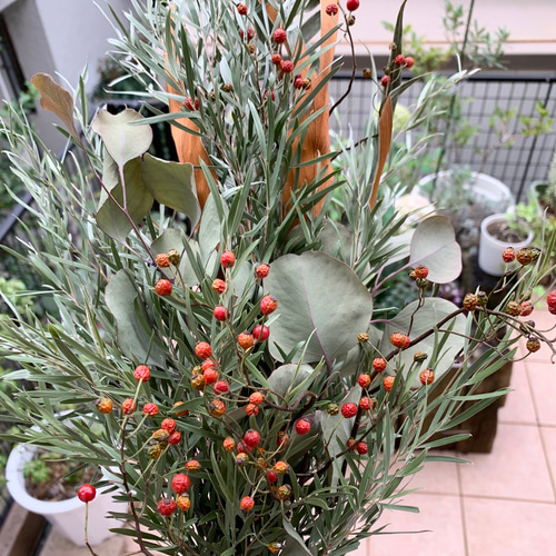 ドライフラワー✩.*˚シルバーティーツリーのナチュラルスワッグ