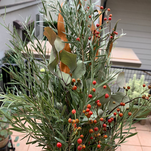 ドライフラワー✩.*˚シルバーティーツリーのナチュラルスワッグ