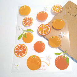 柑橘のクリアファイル2枚セット 4枚目の画像