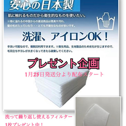 お知らせ☆日本製不織布フィルタープレゼント中！3月末まで！ 2枚目の画像