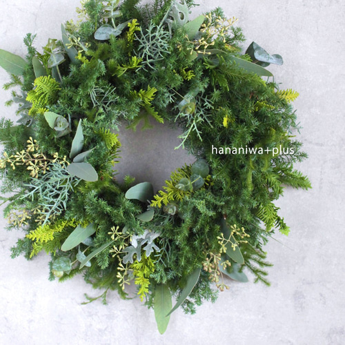 ＊Natural＊針葉樹のグリーンリース☆ドライフラワーリース Natural＊針葉樹のグリーンリース☆ドライフラワーリース