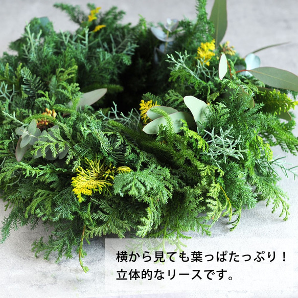 今年も変わらないヨ♪ドライになるクリスマスリース／葉っぱみっしり・針葉樹が香るフレッシュグリーンリース／選べる３サイズ 11枚目の画像
