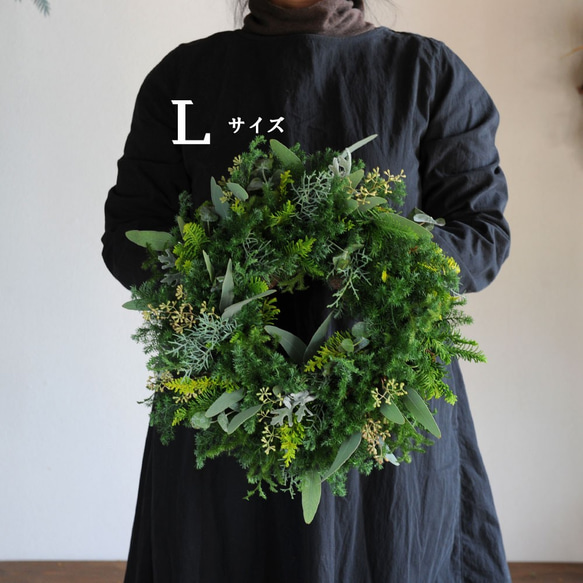 今年も変わらないヨ♪ドライになるクリスマスリース／葉っぱみっしり・針葉樹が香るフレッシュグリーンリース／選べる３サイズ 7枚目の画像