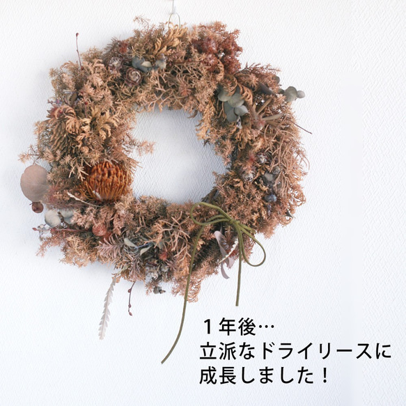【クリスマス・3点セット】キャンドル・生花リース・プレートのセット／自然の香りと灯りに癒されて／ドライになるよ～ 5枚目の画像