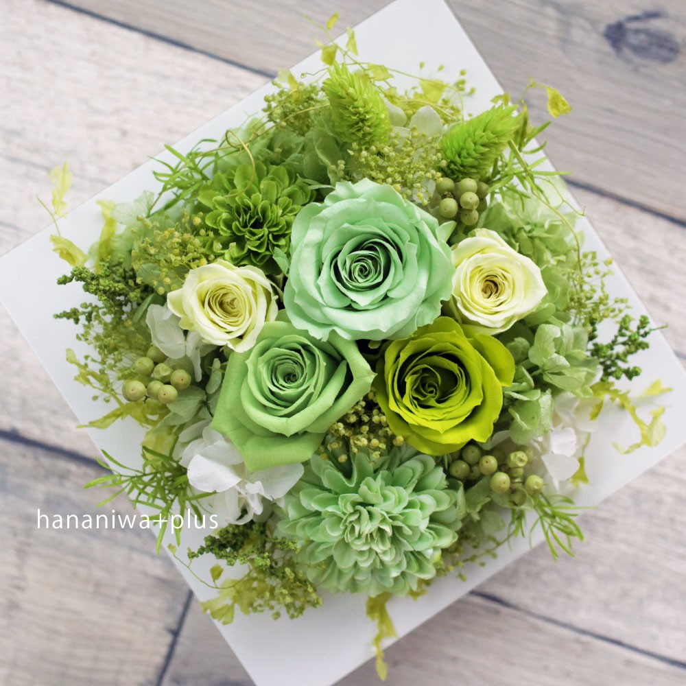 【ギフトにおすすめ！】グリーンの草花で癒しの屋内緑化♪フレームアレンジ・グリーン/壁かけにもなるよ♪［選べる12色］