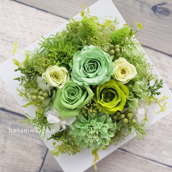 ギフトにも】グリーンの草花で癒しの屋内緑化♪フレームアレンジ