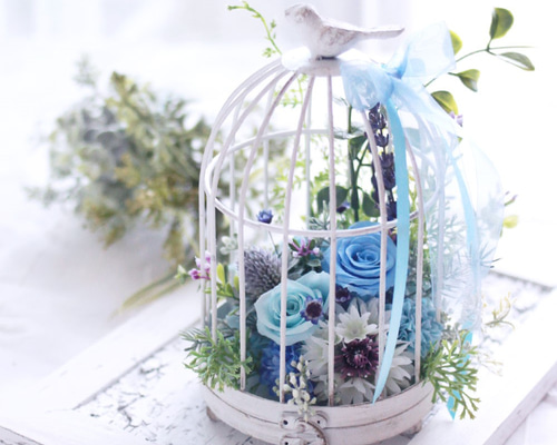 0_a6817f442d6709eb4fec169f93cf