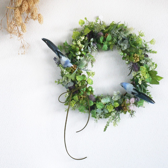 鳥と過ごすほっこりおうち時間♪幸せの青い鳥とグリーンたっぷりの  