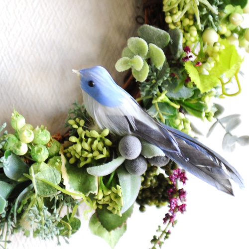 鳥と過ごすほっこりおうち時間♪幸せの青い鳥とグリーンたっぷりの  