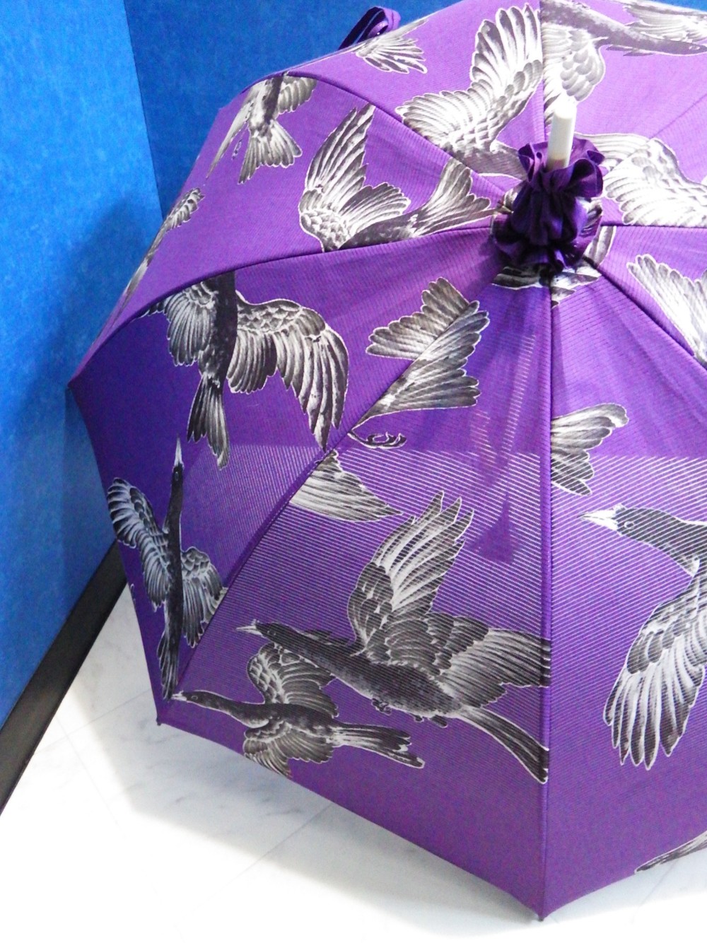 浴衣から生まれた日傘　あけぼのの 大和言葉の烏かな【岡重】