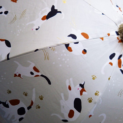 手作り日傘　三毛猫の 初の御目文字暮の秋《猫の日に》 3枚目の画像