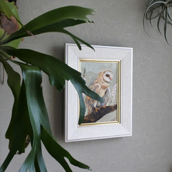 メンフクロウの小さい油絵原画 2枚目の画像
