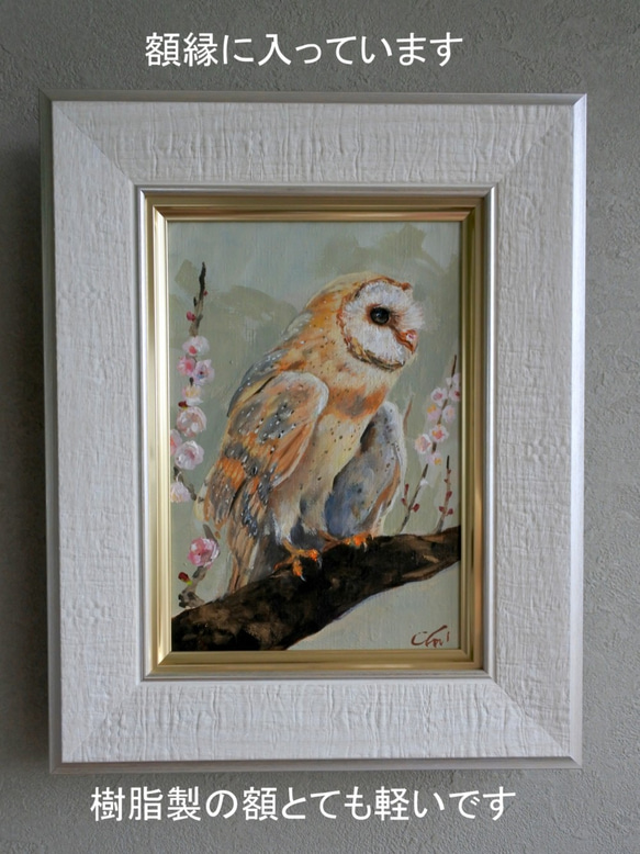 メンフクロウの小さい油絵原画 3枚目の画像