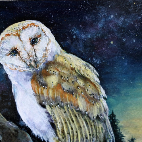 メンフクロウの油絵S4正方形パネル 絵画 mimoza 通販 12425222