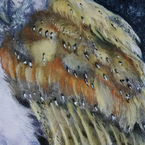 メンフクロウの油絵S4正方形パネル 絵画 mimoza 通販 12425222 メンフクロウの油絵S4正方形パネル 絵画 mimoza 通販 12425222