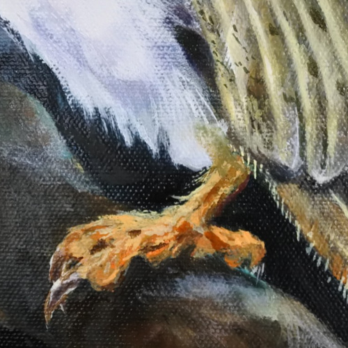 メンフクロウの油絵S4正方形パネル 絵画 mimoza 通販 12425222 メンフクロウの油絵S4正方形パネル 絵画 mimoza 通販 12425222
