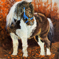 ポニー馬の油絵原画F4 1枚目の画像