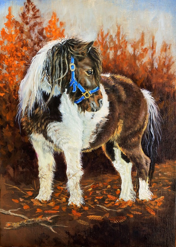ポニー馬の油絵原画F4 1枚目の画像