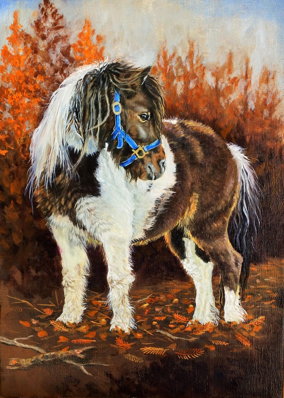 ポニー馬の油絵原画F4 絵画 mimoza 通販 4971791|Creema(クリーマ) ポニー馬の油絵原画F4 絵画 mimoza 通販 4971791|Creema(クリーマ)