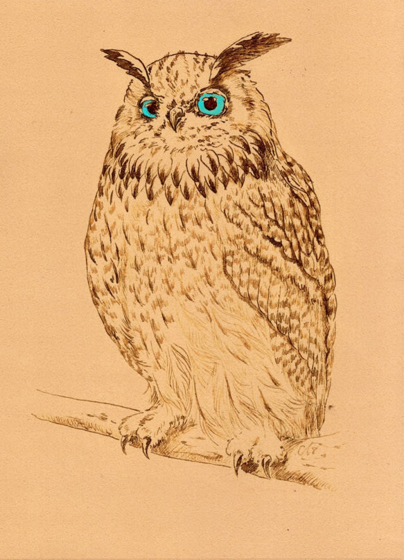 本物品質の ふくろうのインク画(複製画) 5356312｜Creema 通販 mimoza 絵画 絵画