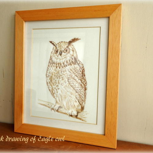 ふくろうの原画 額入り 絵画 mimoza 通販 5457233｜Creema(クリーマ