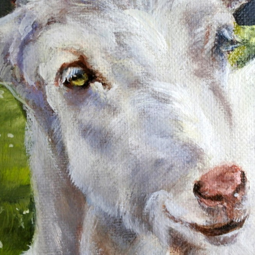 羊　油彩画 やぎの油絵原画F8号 絵画 mimoza 通販 7817758｜Creema(クリーマ)