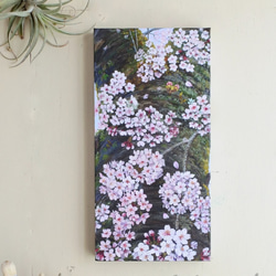 桜のアートパネル 1枚目の画像