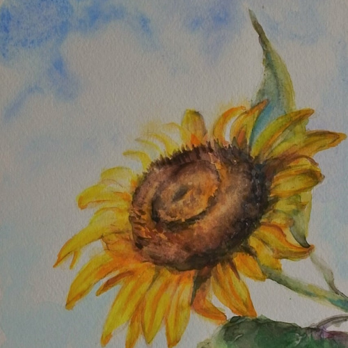 絵画「森はカタクリの花盛り」　水彩画 絵画「森はカタクリの花盛り」 水彩画