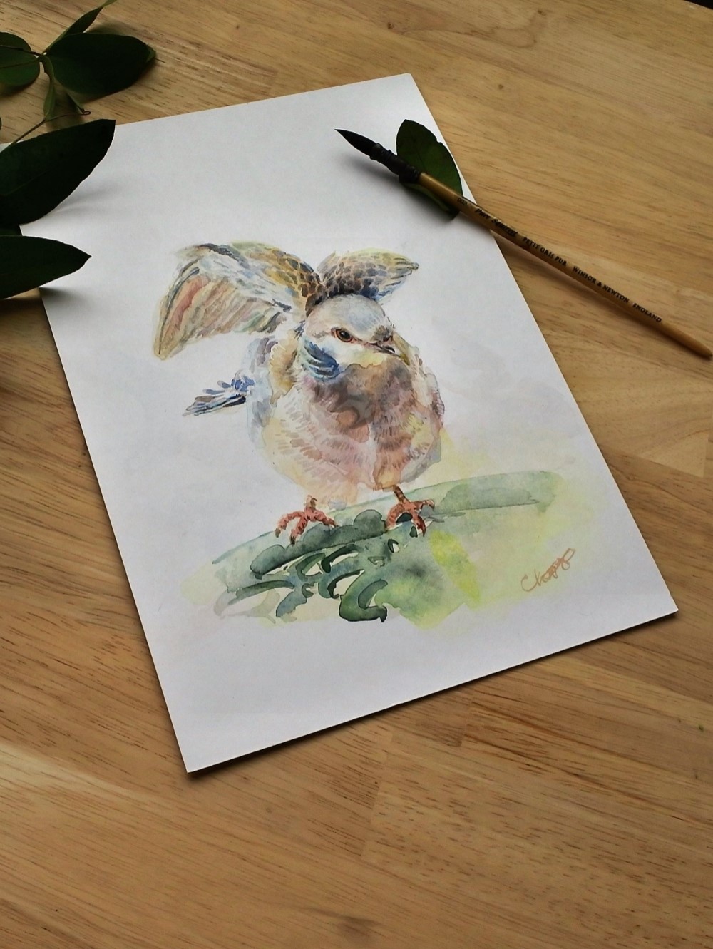 鳩の水彩画原画 絵画 mimoza 通販 9991395｜Creema(クリーマ)