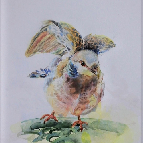 トウマページ　水彩画 水彩画 美しい馬の通販 by 「工房和み」 ハンドメイド工房｜ラクマ